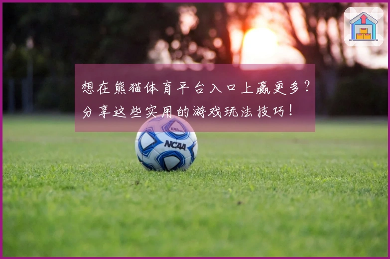 想在熊猫体育平台入口上赢更多？分享这些实用的游戏玩法技巧！