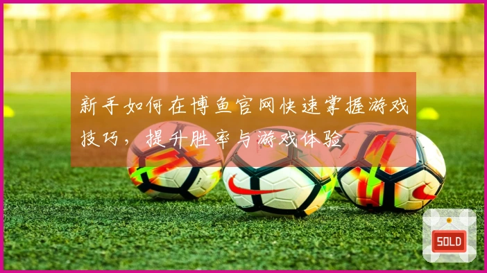 新手如何在博鱼官网快速掌握游戏技巧，提升胜率与游戏体验