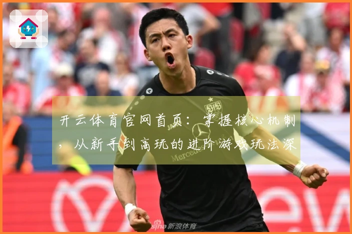 开云体育官网首页：掌握核心机制，从新手到高玩的进阶游戏玩法深度解析